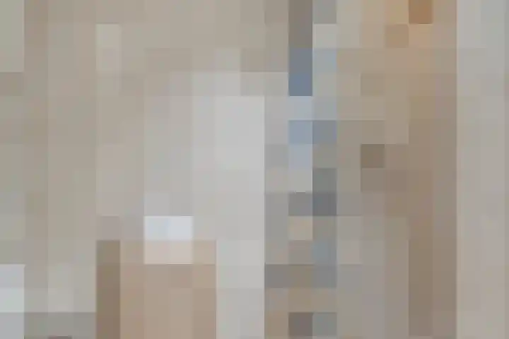 Soestdijksekade 200 Den Haag thumbnail 15