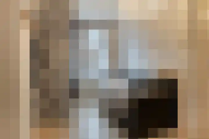 Soestdijksekade 200 Den Haag thumbnail 19