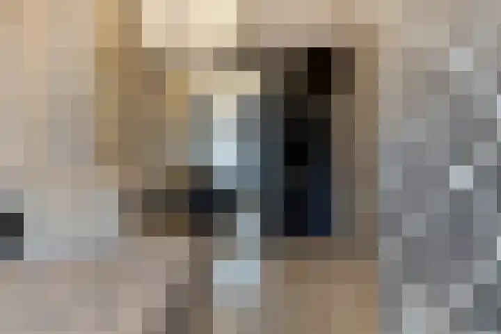 Soestdijksekade 200 Den Haag thumbnail 20