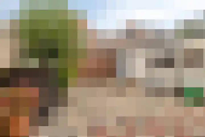 Soestdijksekade 200 Den Haag thumbnail 22
