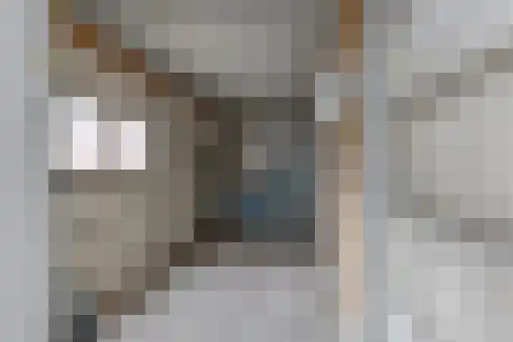 Soestdijksekade 200 Den Haag thumbnail 23
