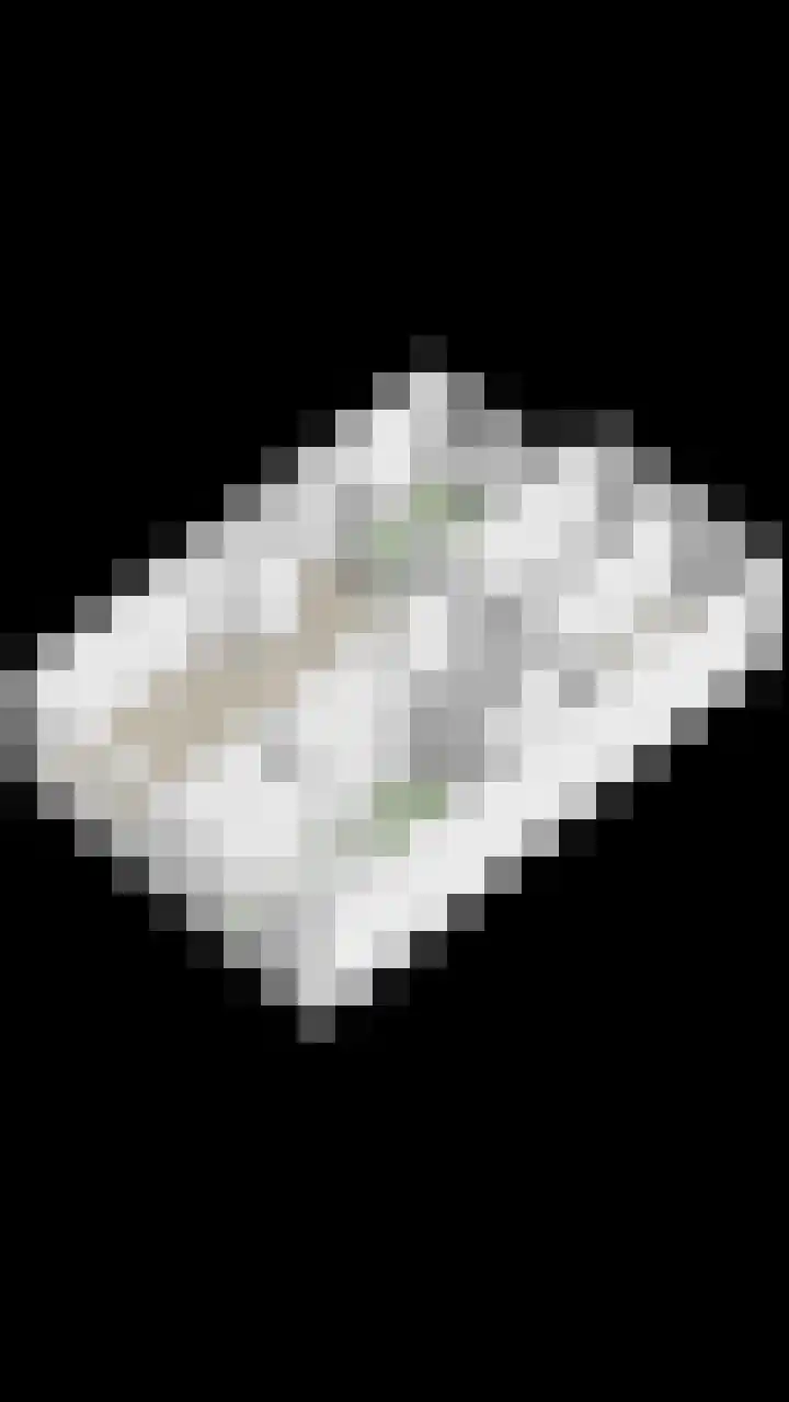 Soestdijksekade 200 Den Haag thumbnail 30