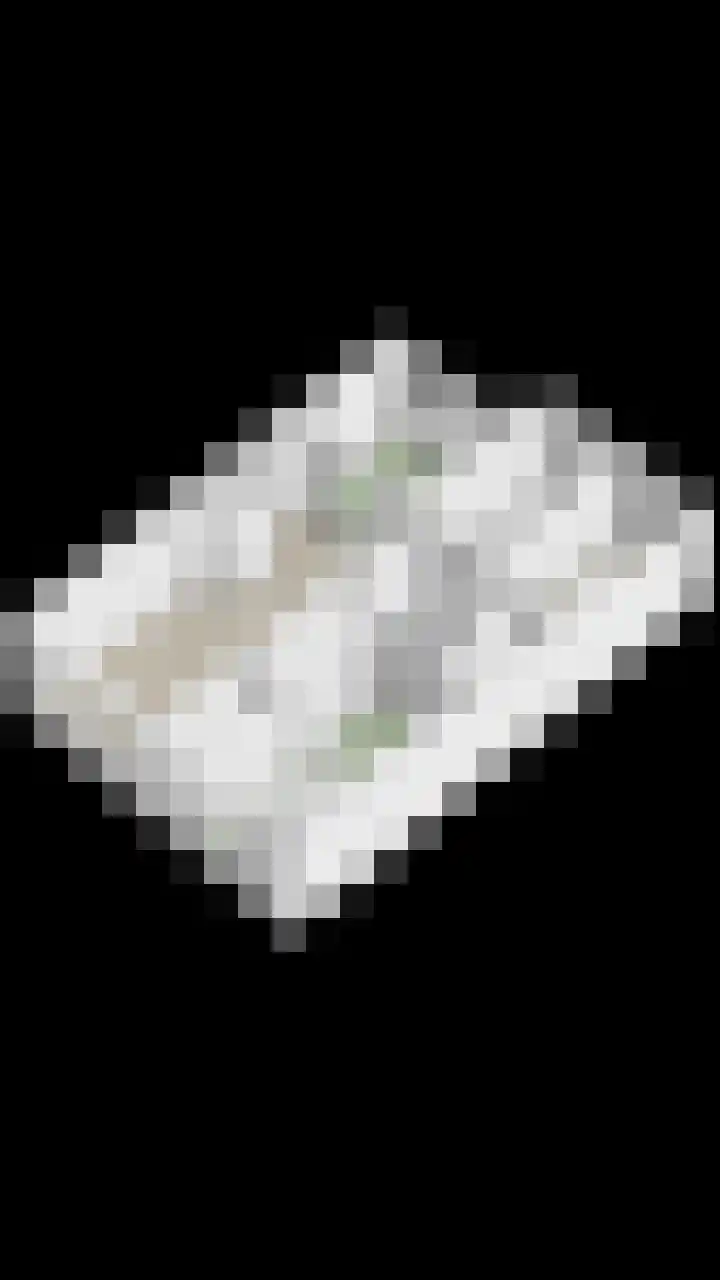 Soestdijksekade 200 Den Haag thumbnail 34