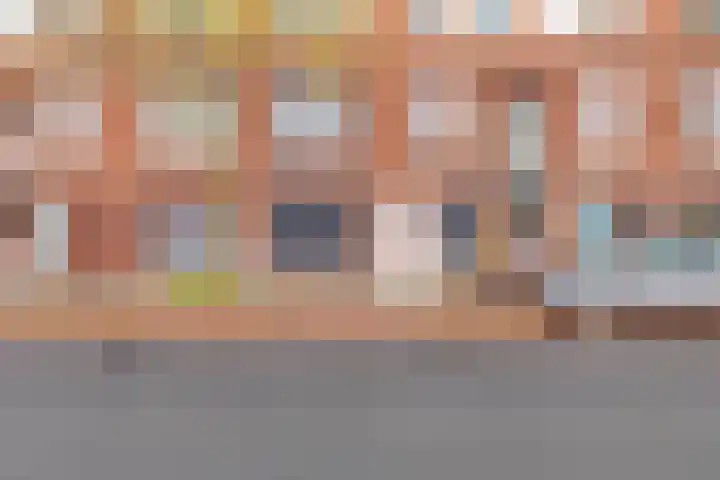 Soestdijksekade 200 Den Haag thumbnail 5