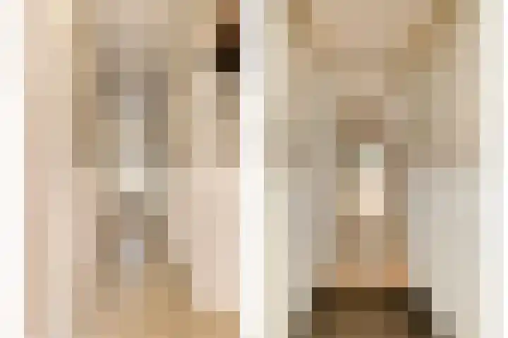 Soestdijksekade 200 Den Haag thumbnail 6
