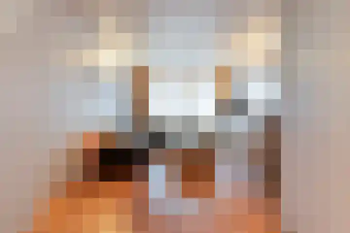 Soestdijksekade 200 Den Haag thumbnail 8