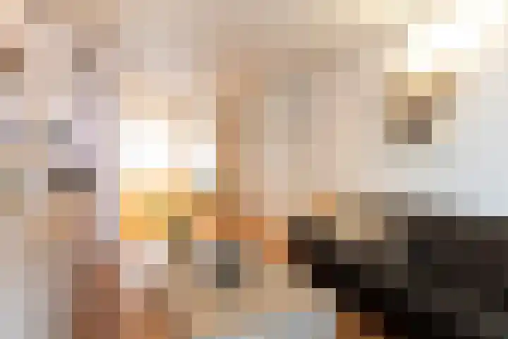 Soestdijksekade 200 Den Haag thumbnail 9