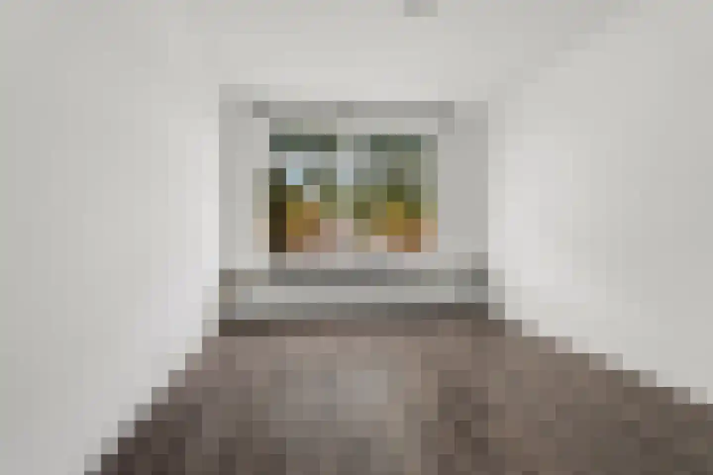 Soestdijksekade 208 Den Haag thumbnail 10