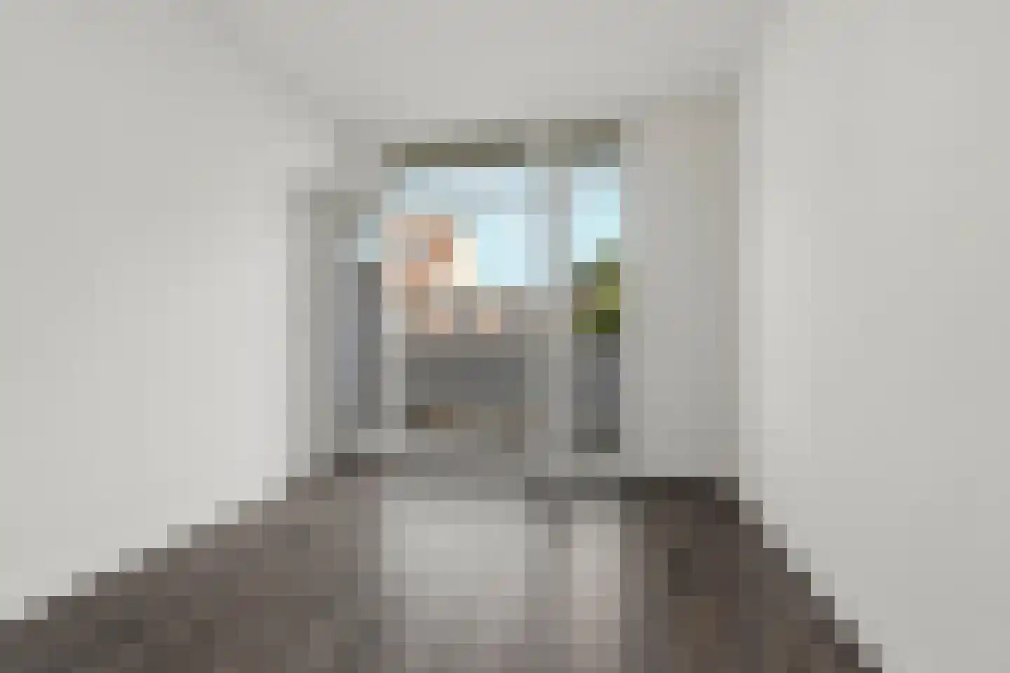 Soestdijksekade 208 Den Haag thumbnail 24