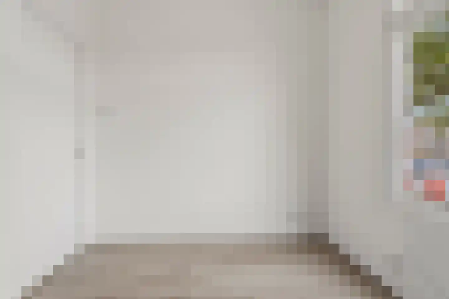 Soestdijksekade 208 Den Haag thumbnail 26