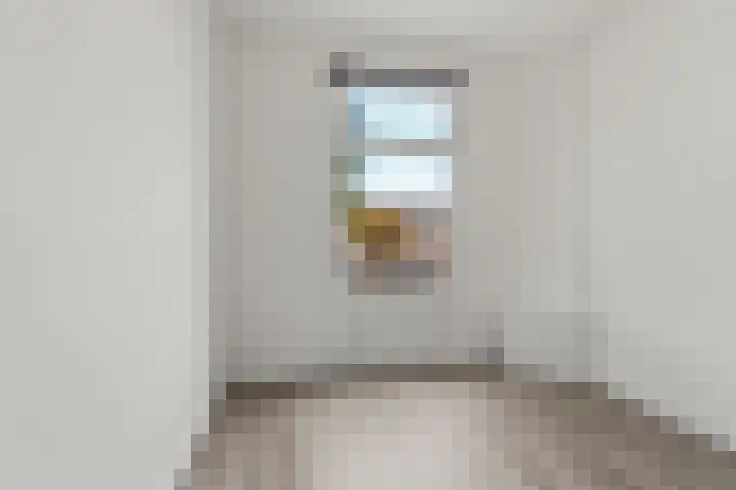 Soestdijksekade 208 Den Haag thumbnail 27