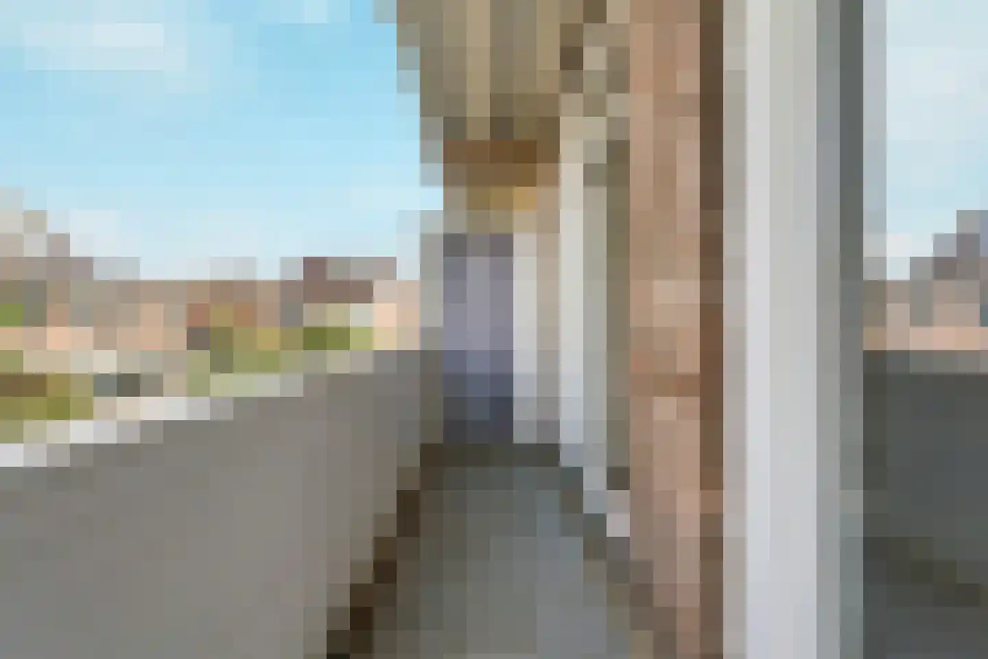 Soestdijksekade 208 Den Haag thumbnail 29