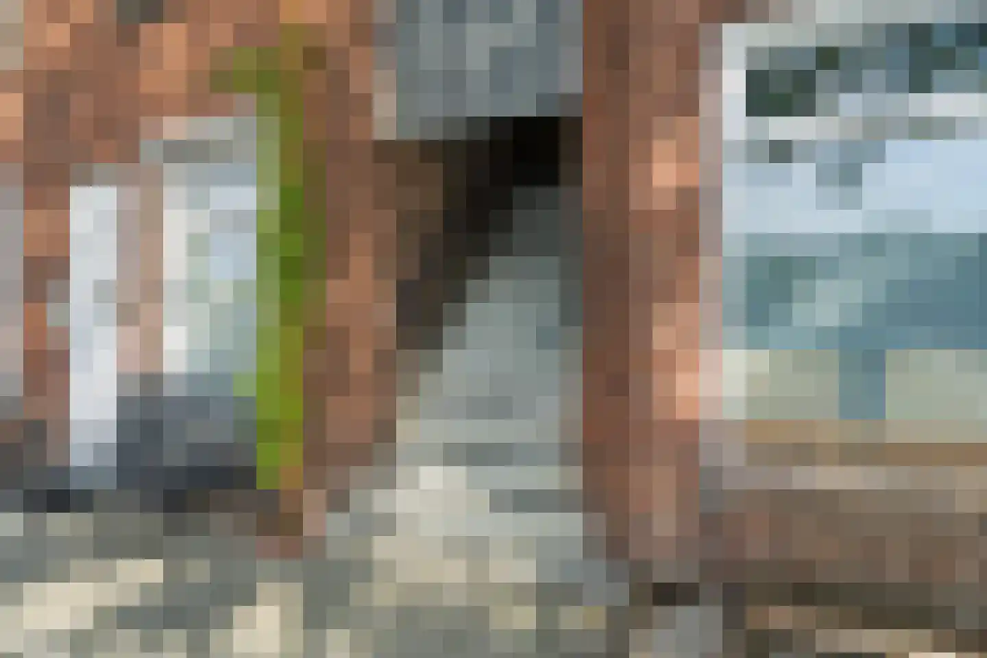 Soestdijksekade 208 Den Haag thumbnail 6