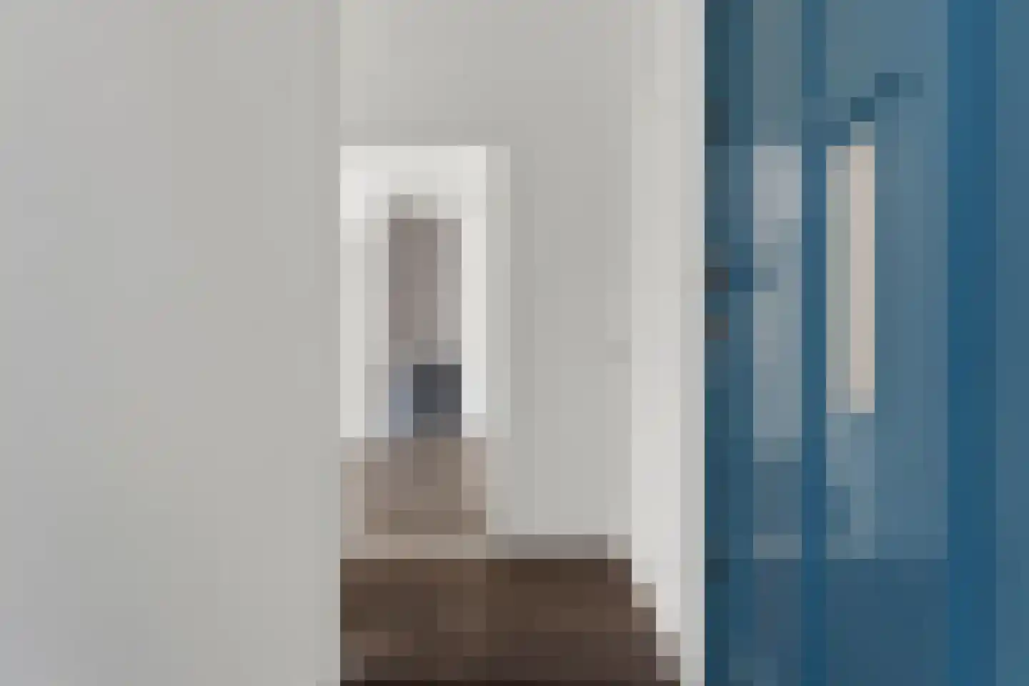 Soestdijksekade 208 Den Haag thumbnail 8