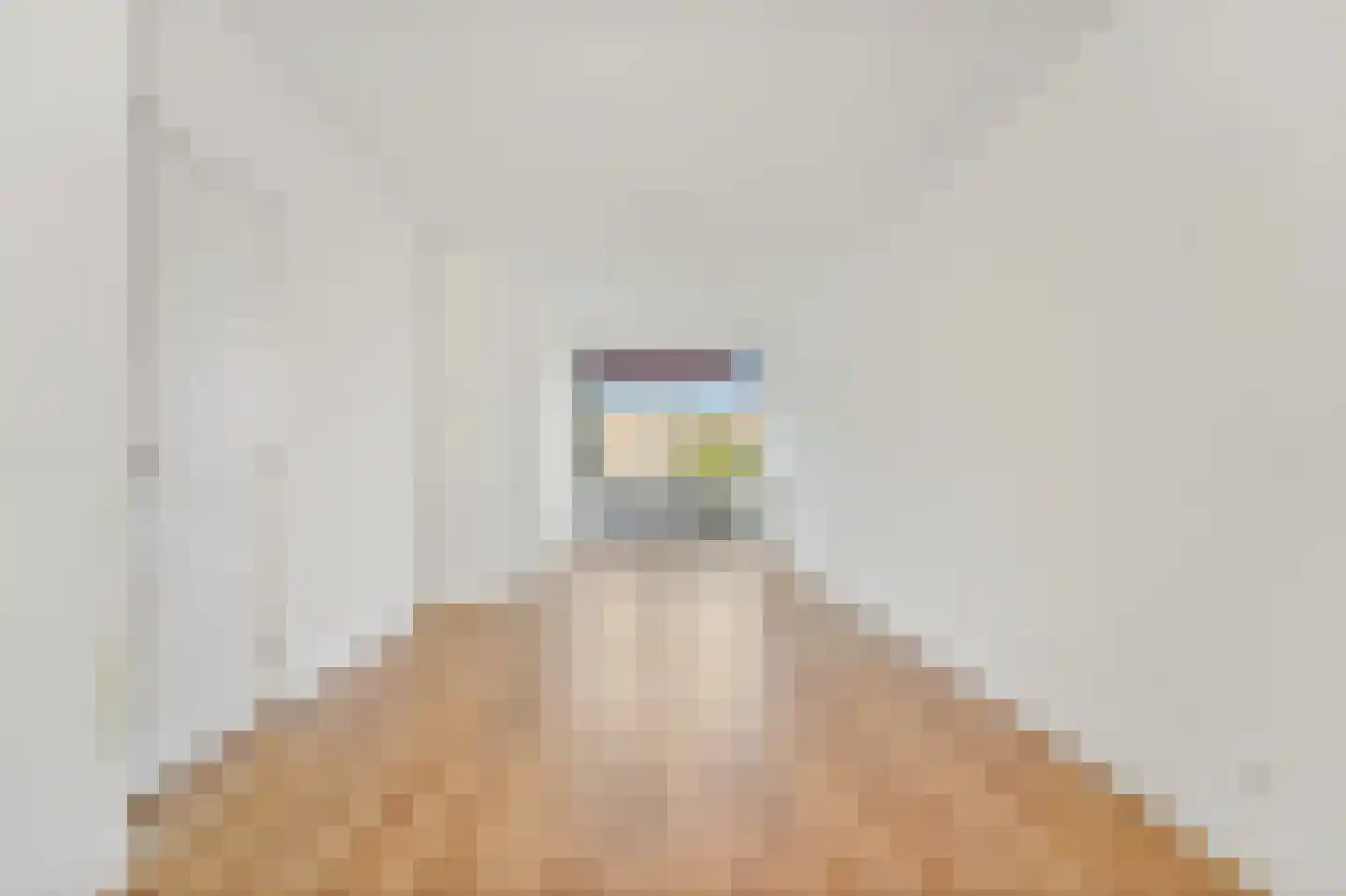 Soestdijksekade 237 Den Haag thumbnail 14
