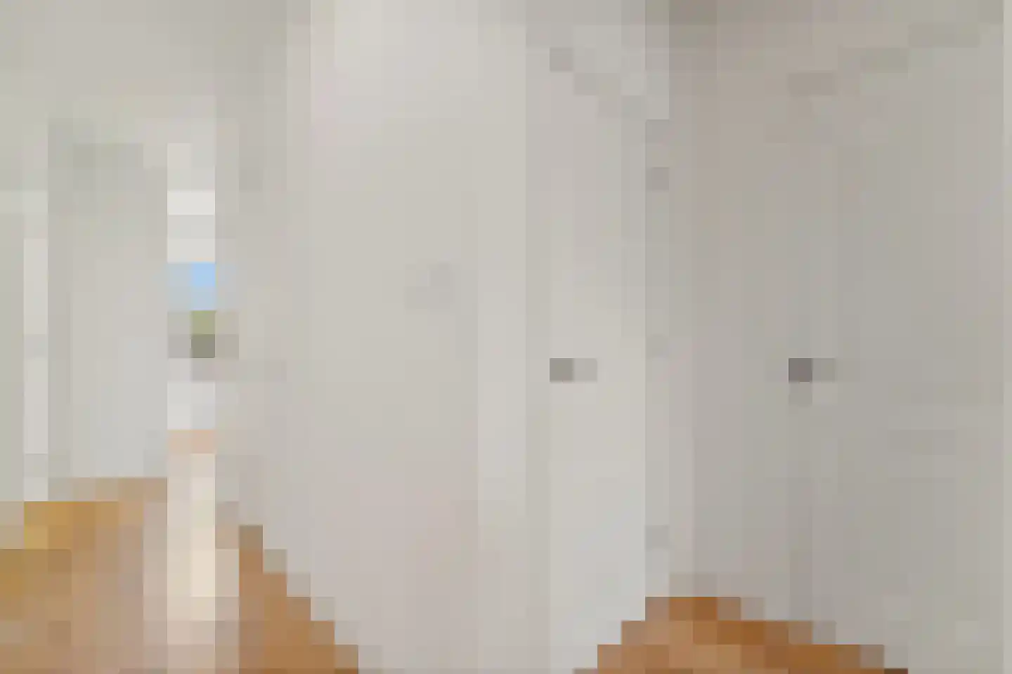 Soestdijksekade 237 Den Haag thumbnail 19
