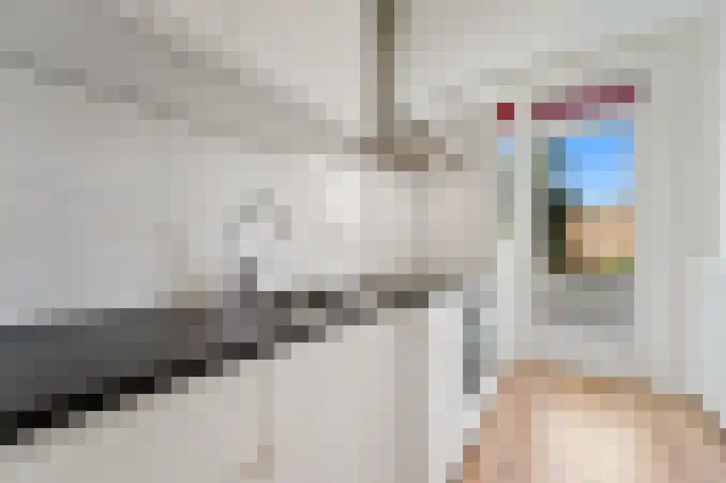 Soestdijksekade 237 Den Haag thumbnail 20