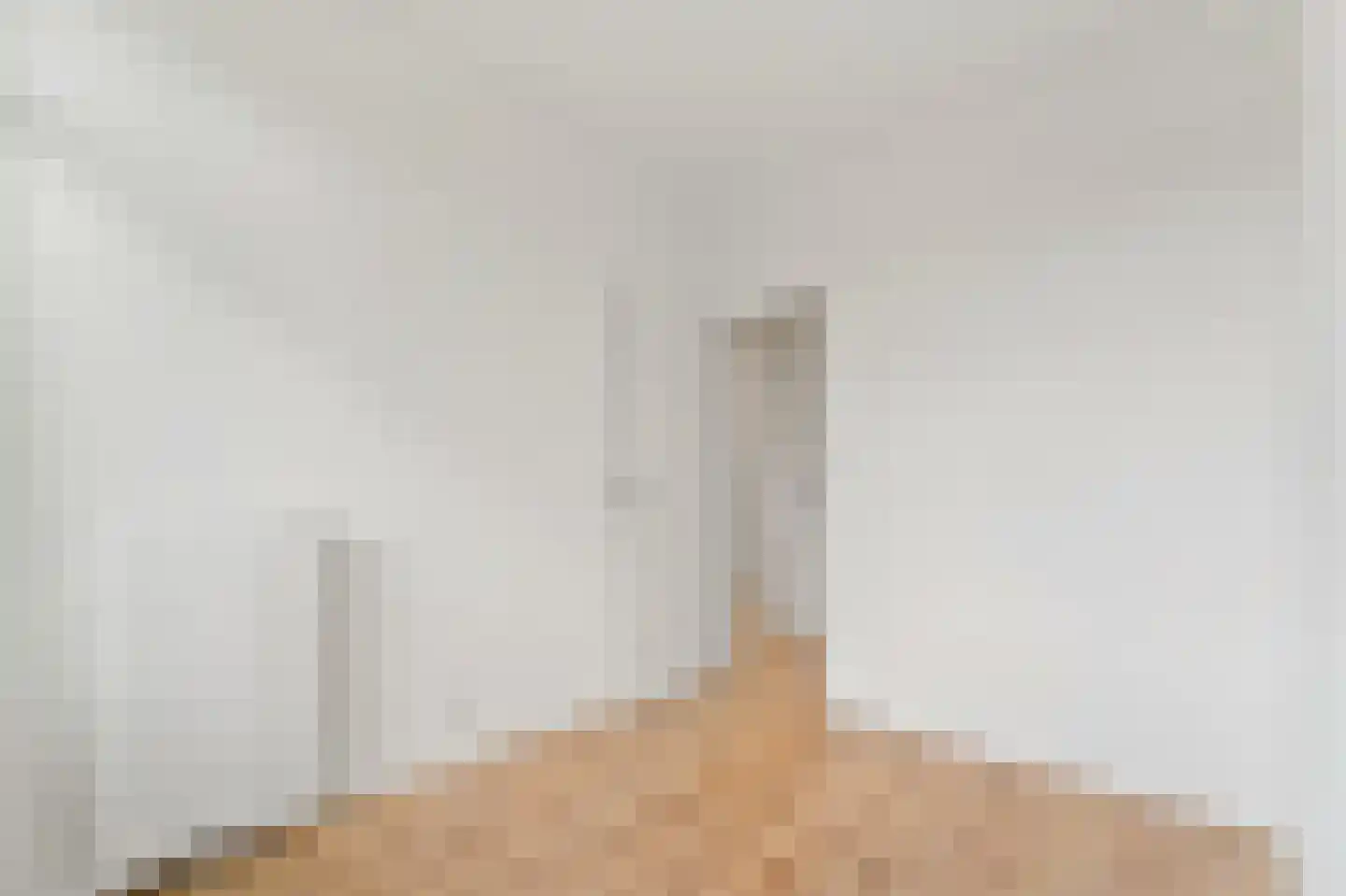Soestdijksekade 237 Den Haag thumbnail 22
