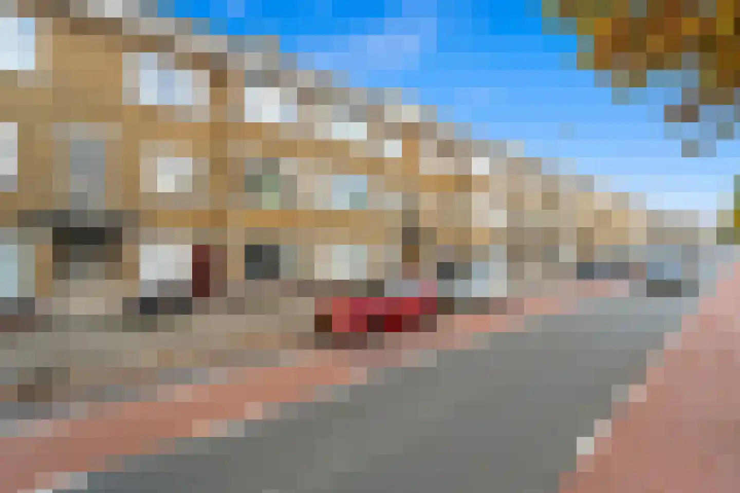 Soestdijksekade 237 Den Haag thumbnail 27