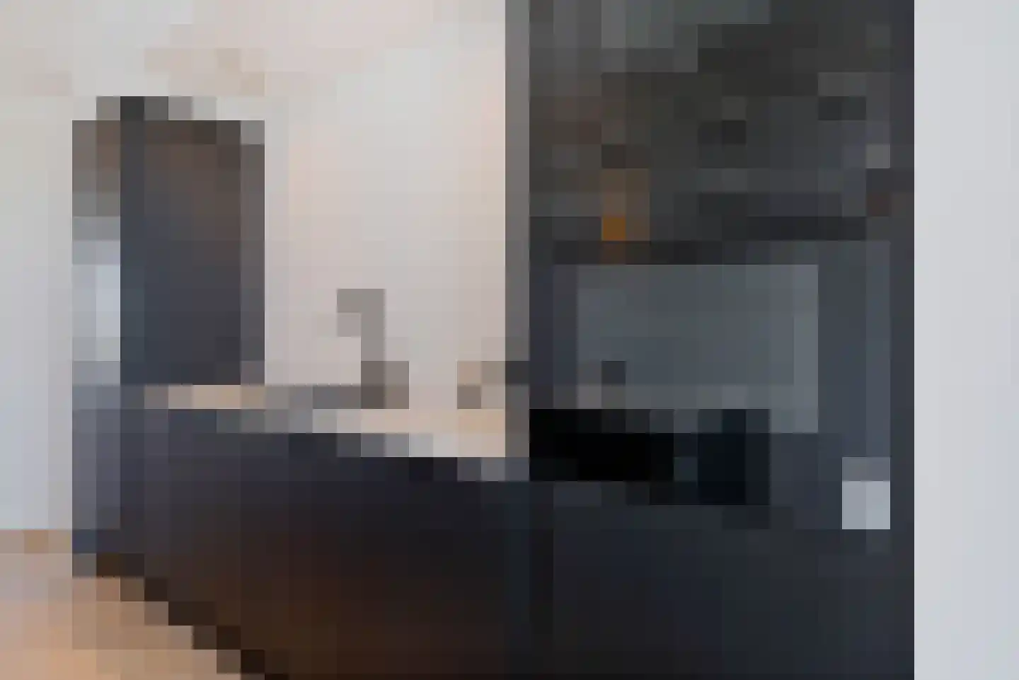 Soestdijksekade 25 Den Haag thumbnail 13