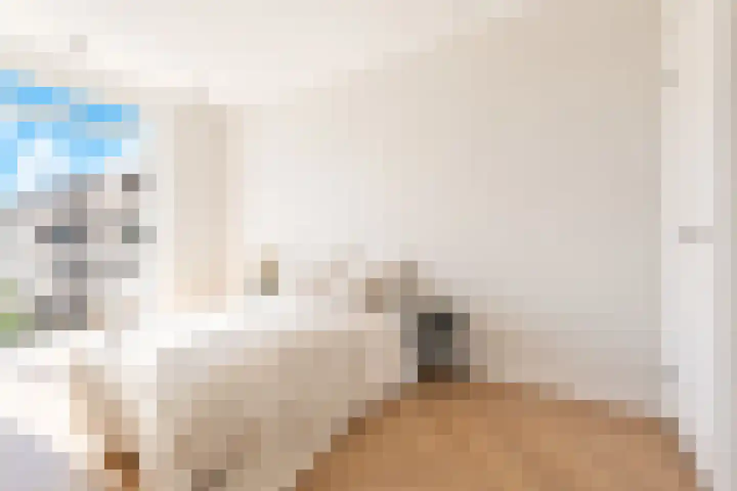Soestdijksekade 25 Den Haag thumbnail 17