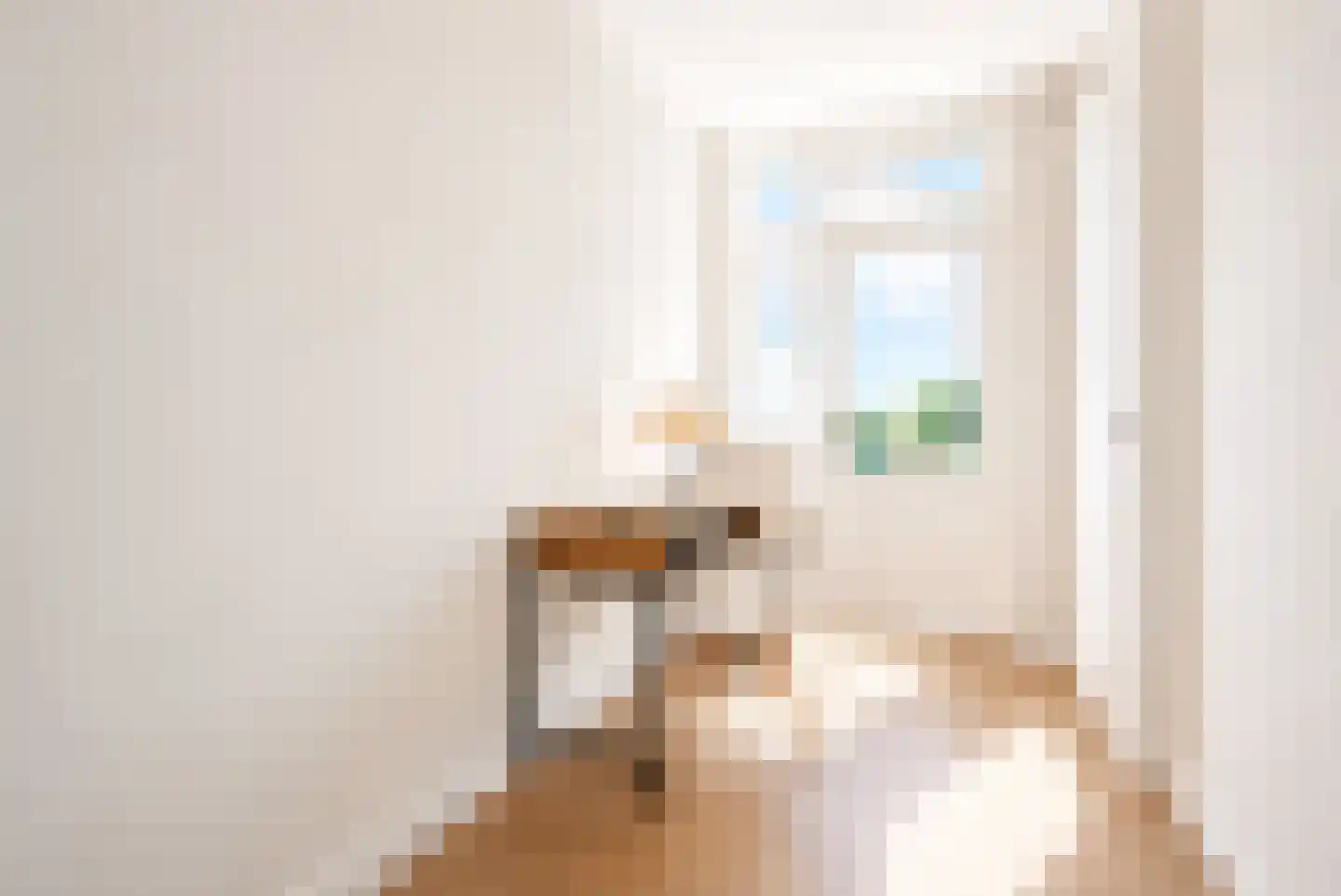 Soestdijksekade 25 Den Haag thumbnail 21