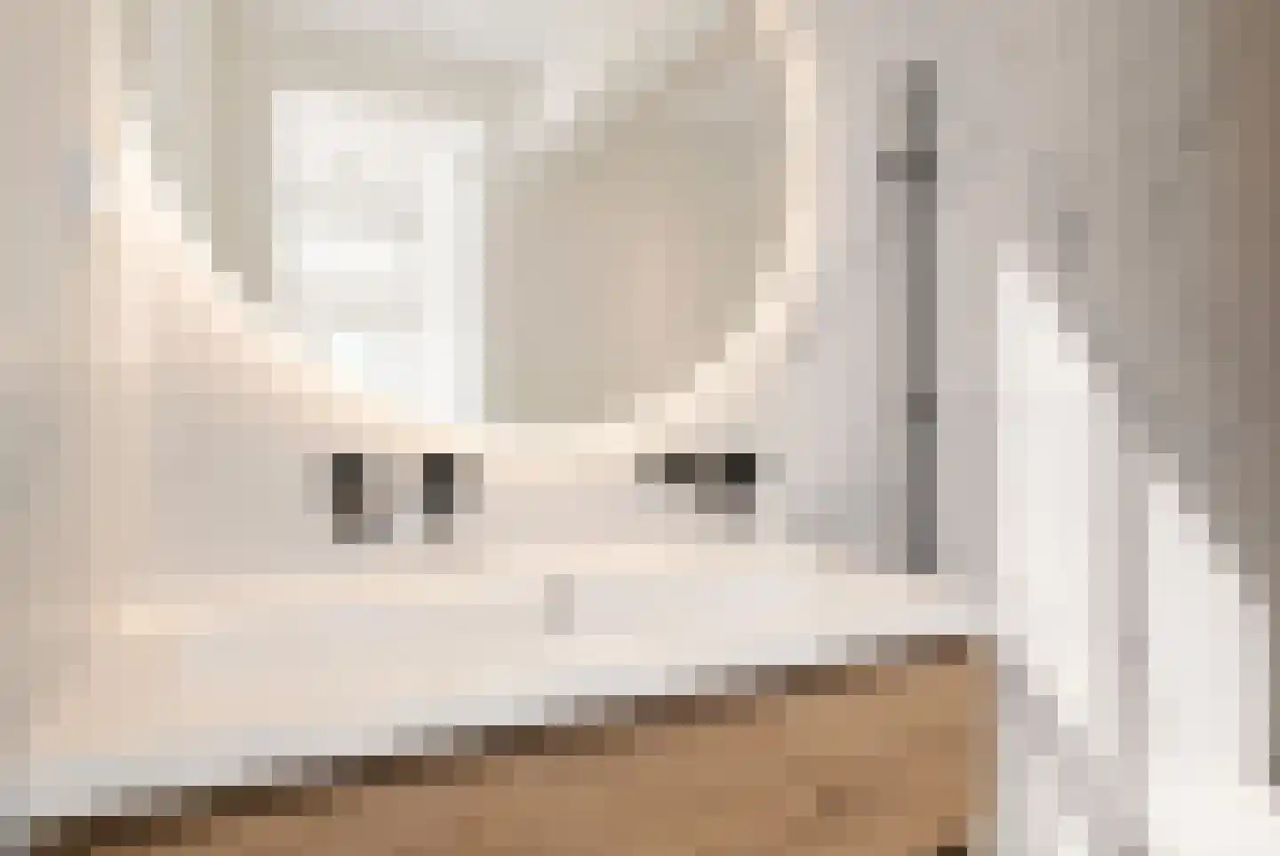 Soestdijksekade 25 Den Haag thumbnail 23