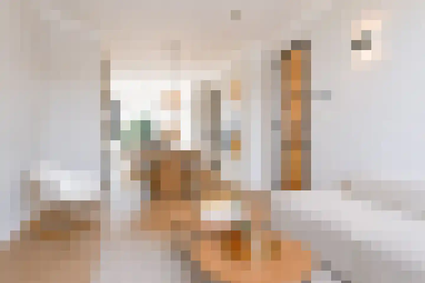 Soestdijksekade 25 Den Haag thumbnail 5