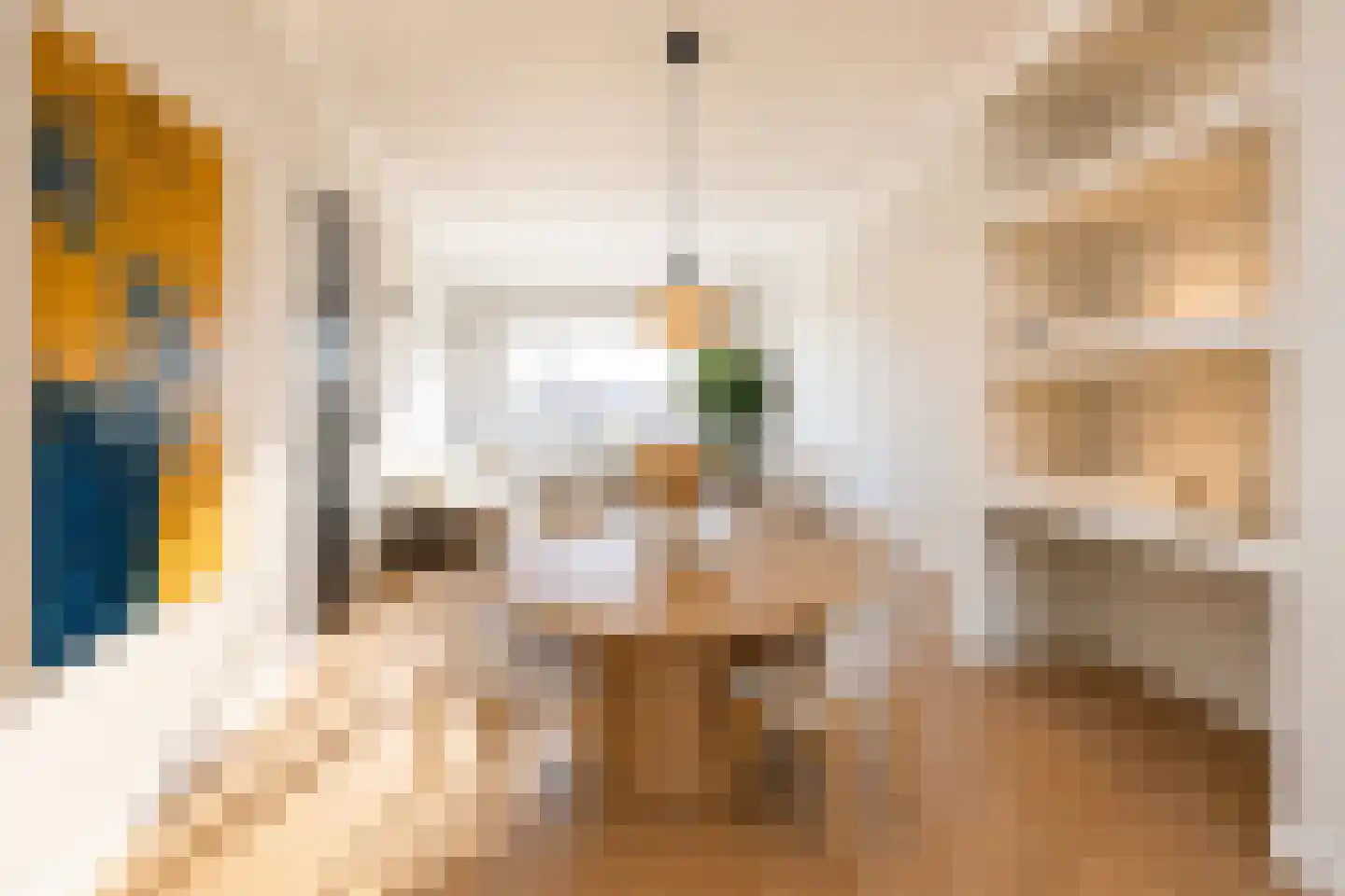Soestdijksekade 25 Den Haag thumbnail 7