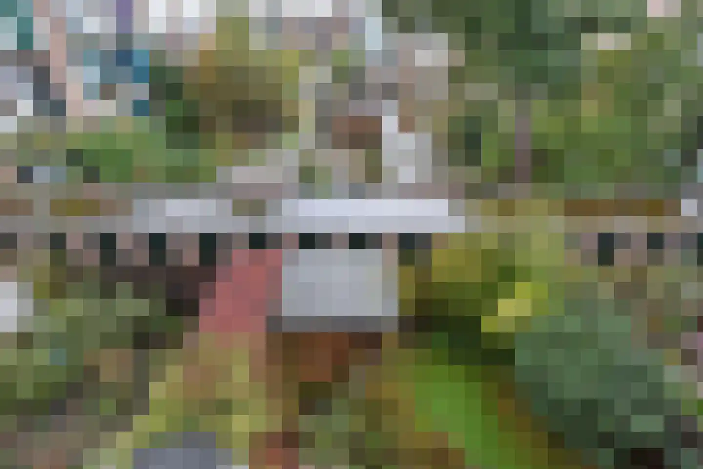 Soestdijksekade 251 Den Haag thumbnail 13