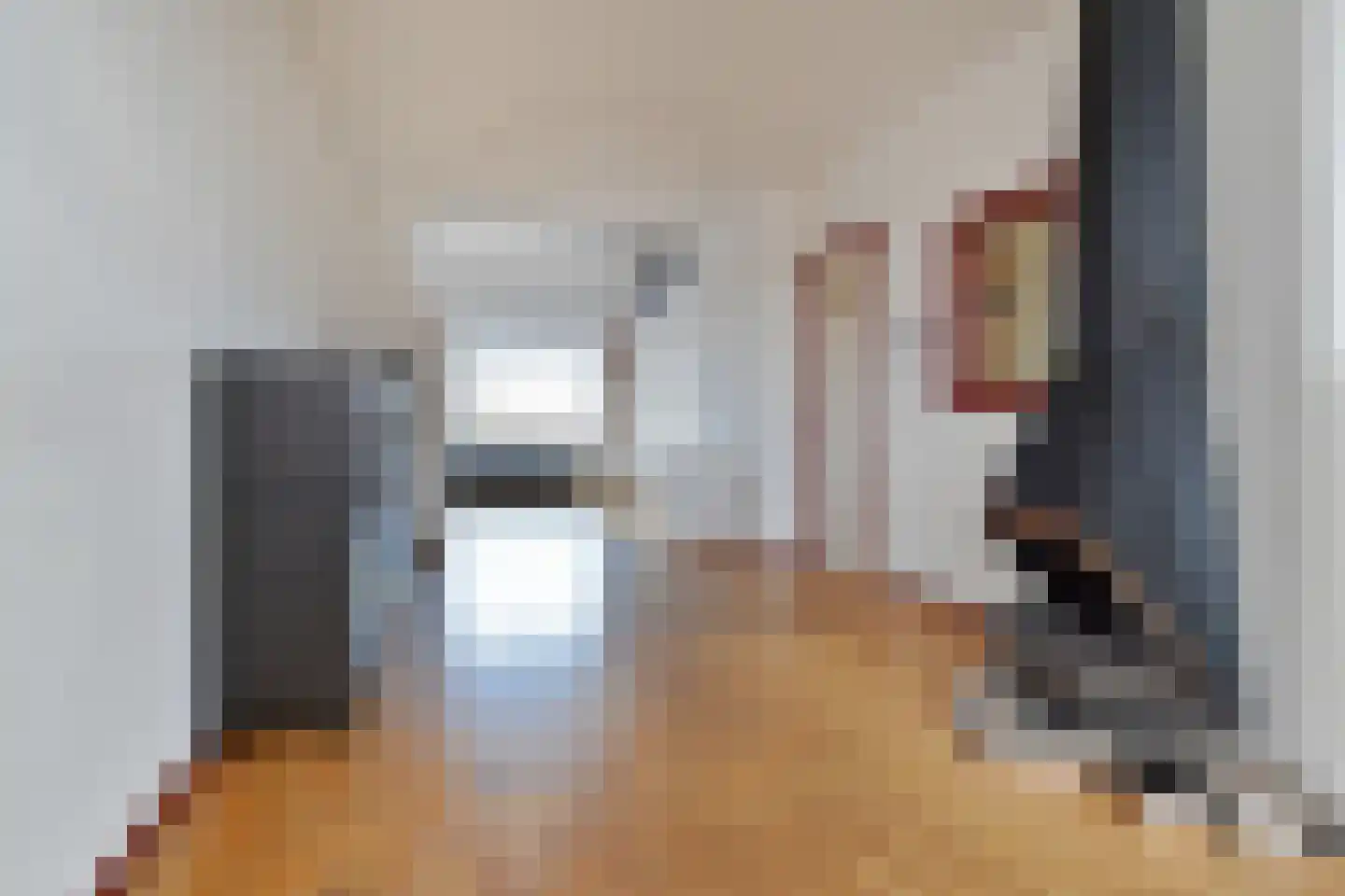 Soestdijksekade 251 Den Haag thumbnail 14