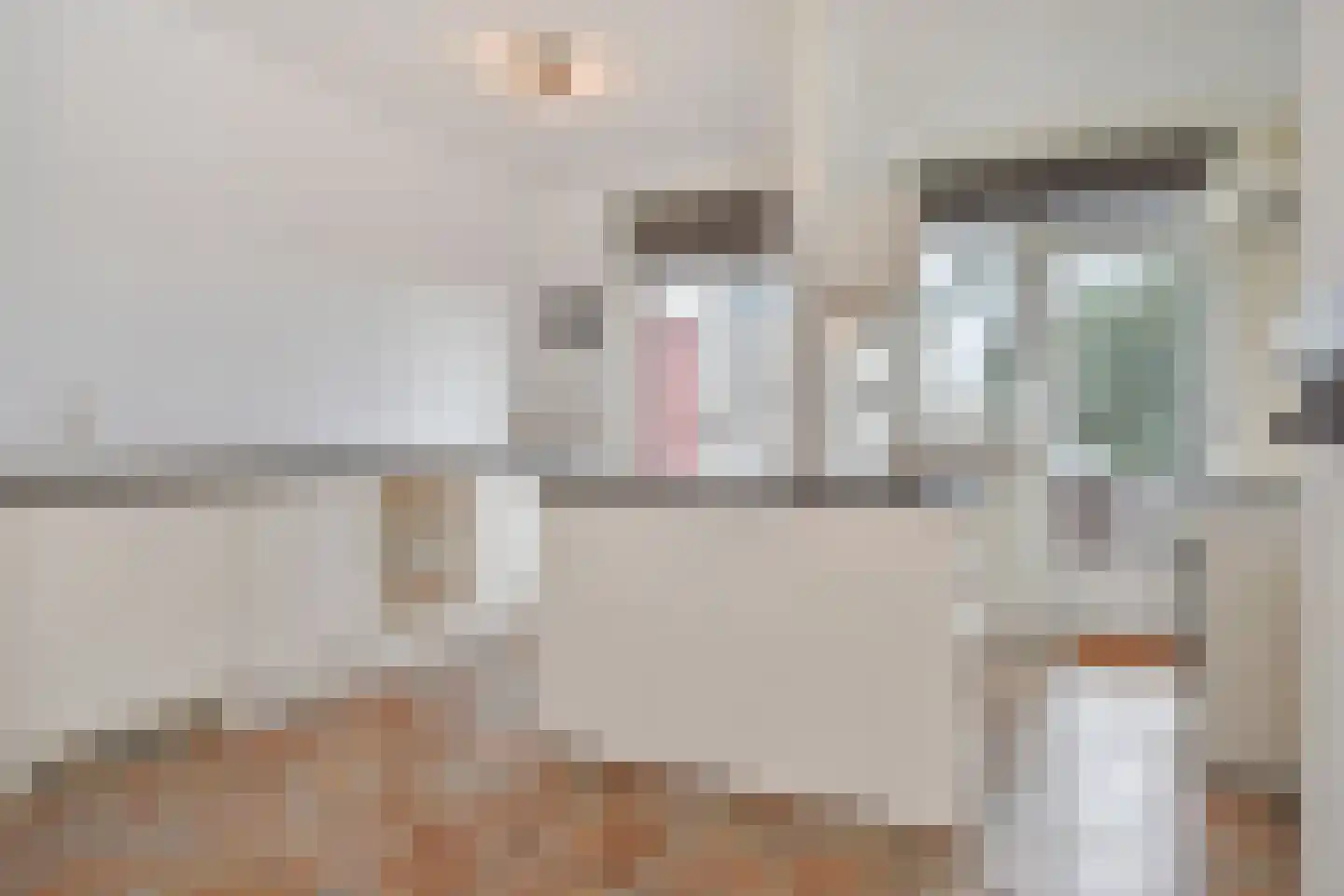 Soestdijksekade 251 Den Haag thumbnail 16