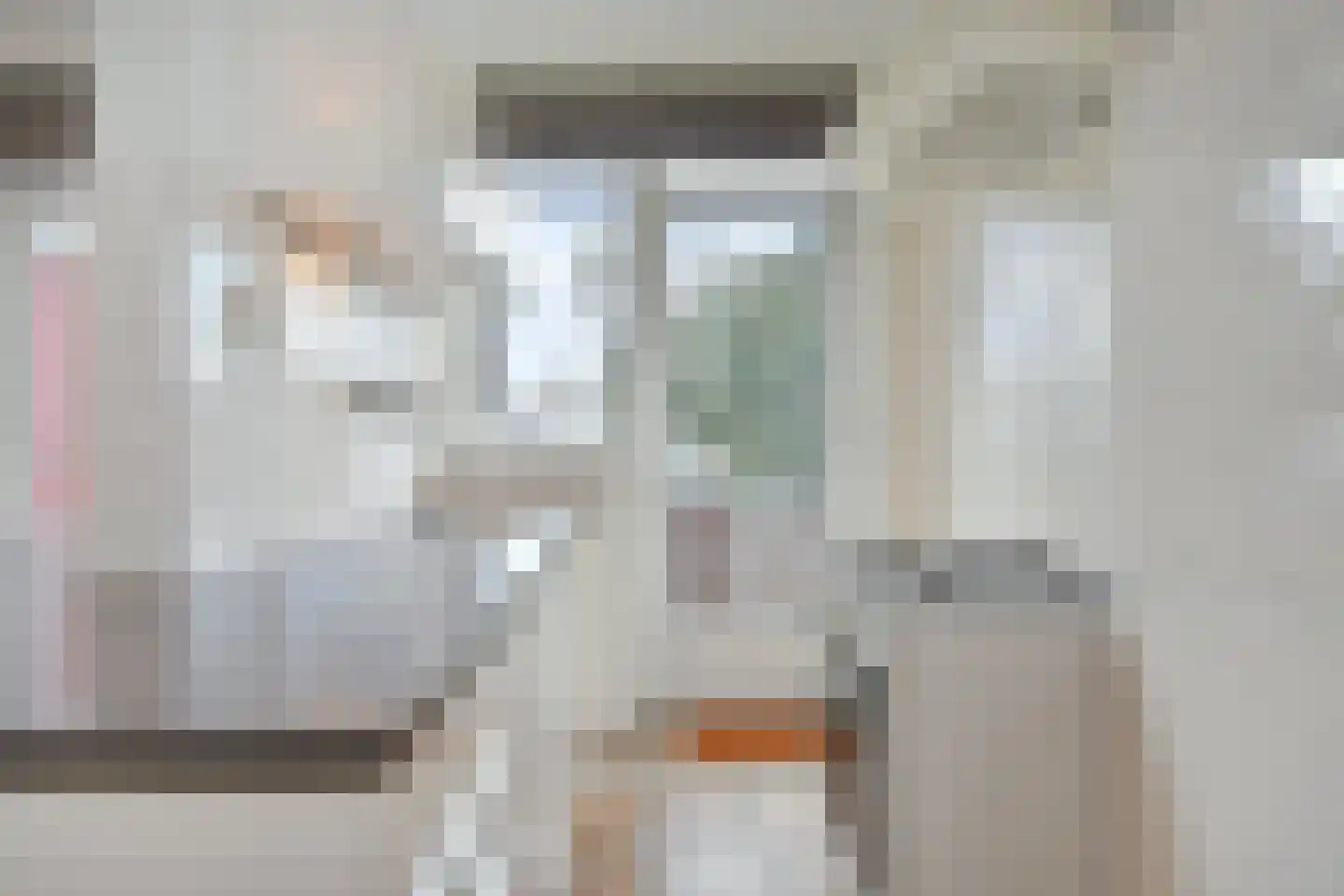 Soestdijksekade 251 Den Haag thumbnail 17