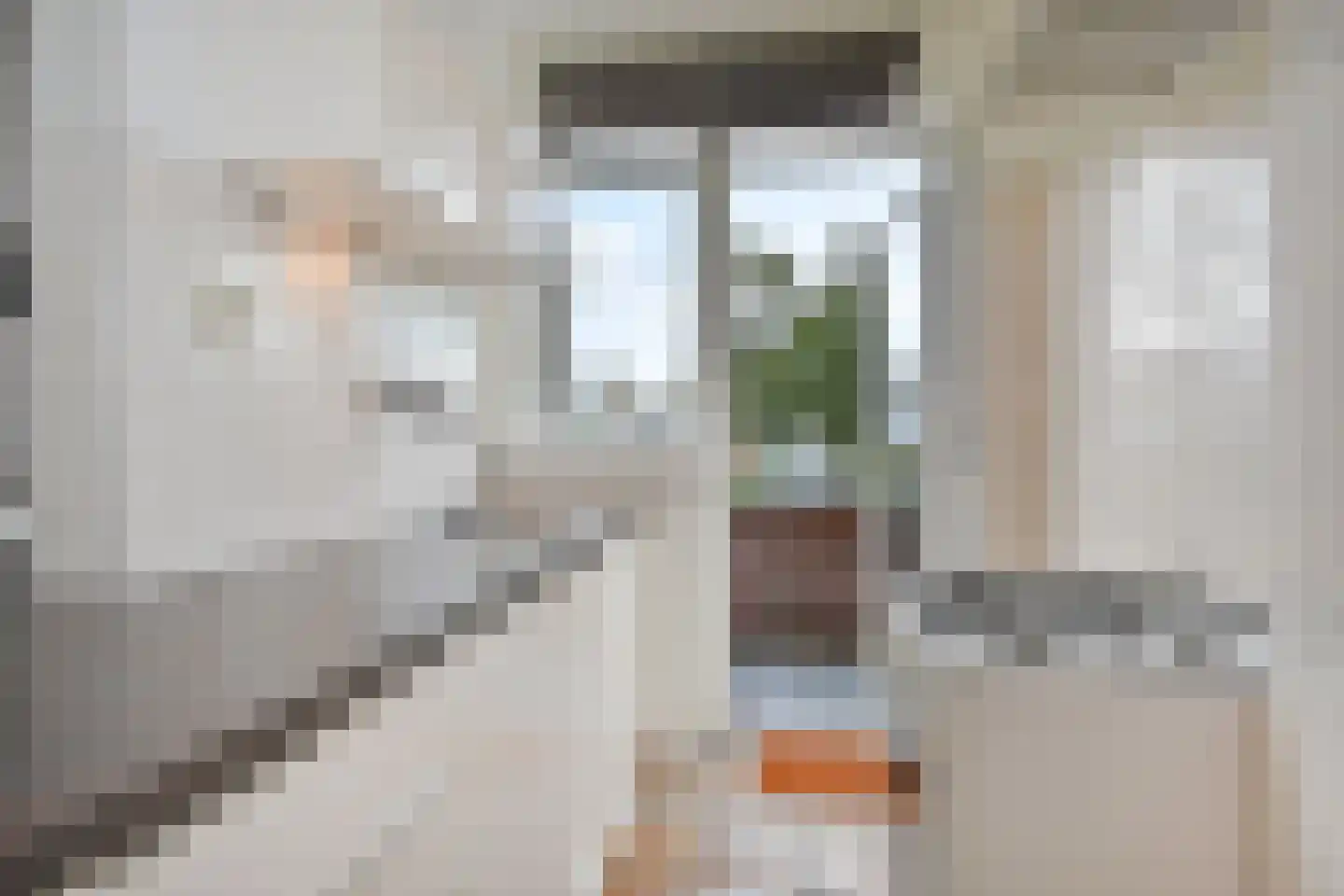 Soestdijksekade 251 Den Haag thumbnail 18