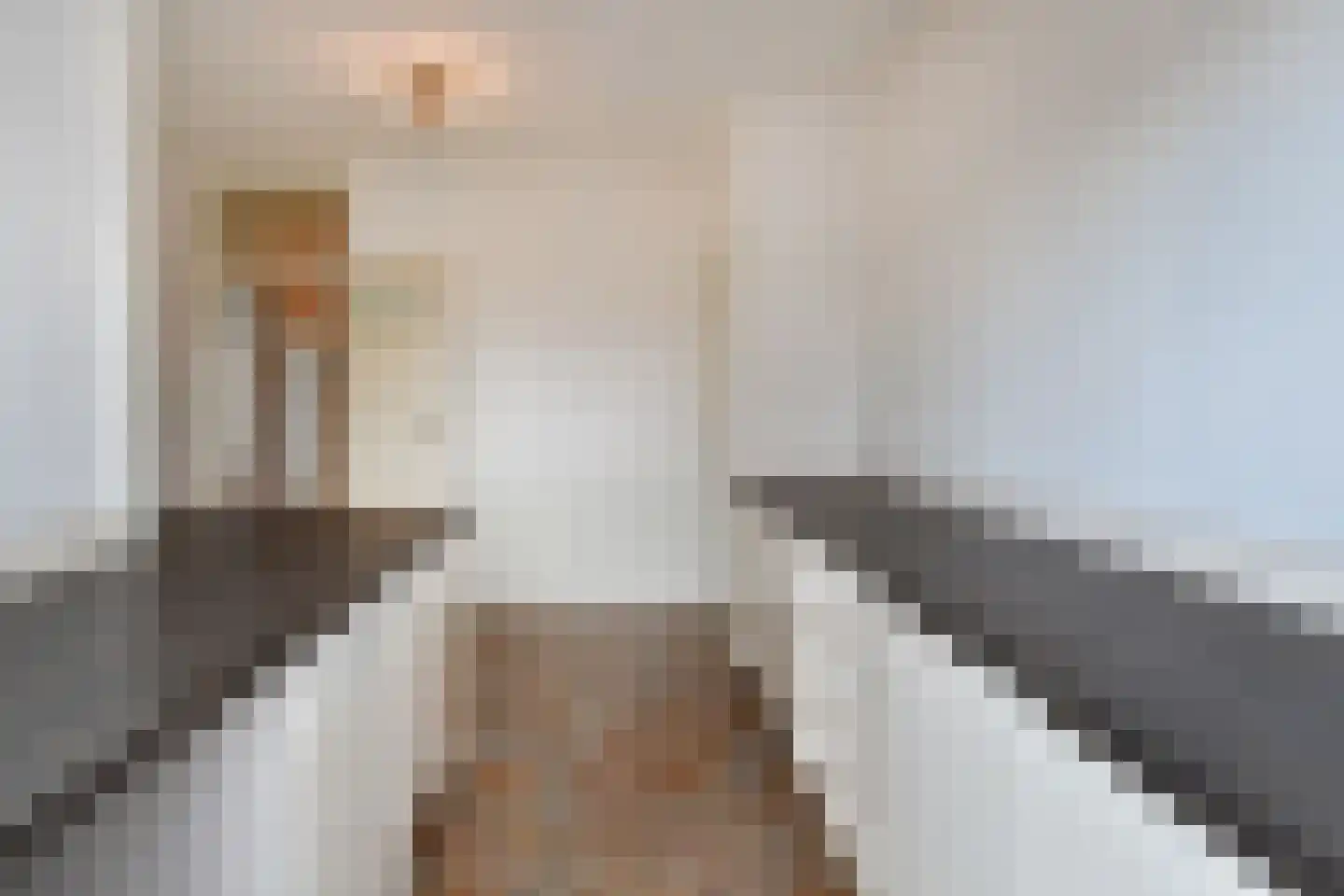 Soestdijksekade 251 Den Haag thumbnail 19