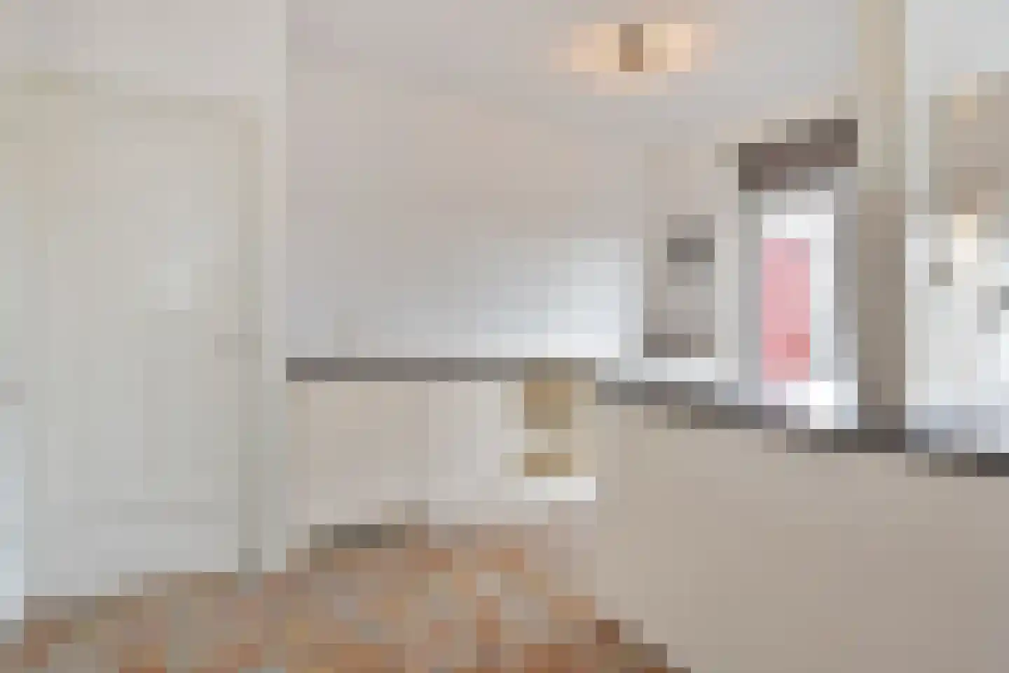 Soestdijksekade 251 Den Haag thumbnail 20