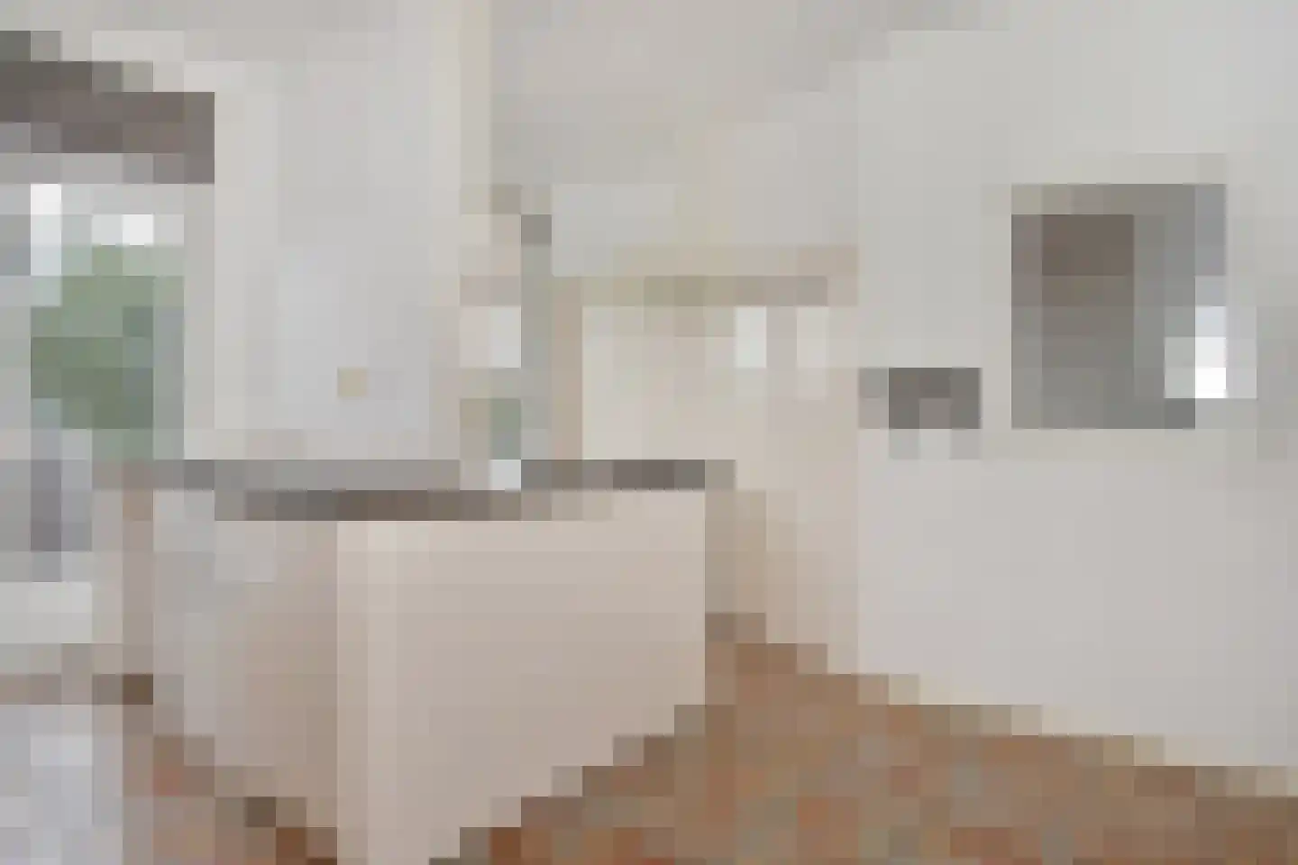 Soestdijksekade 251 Den Haag thumbnail 21