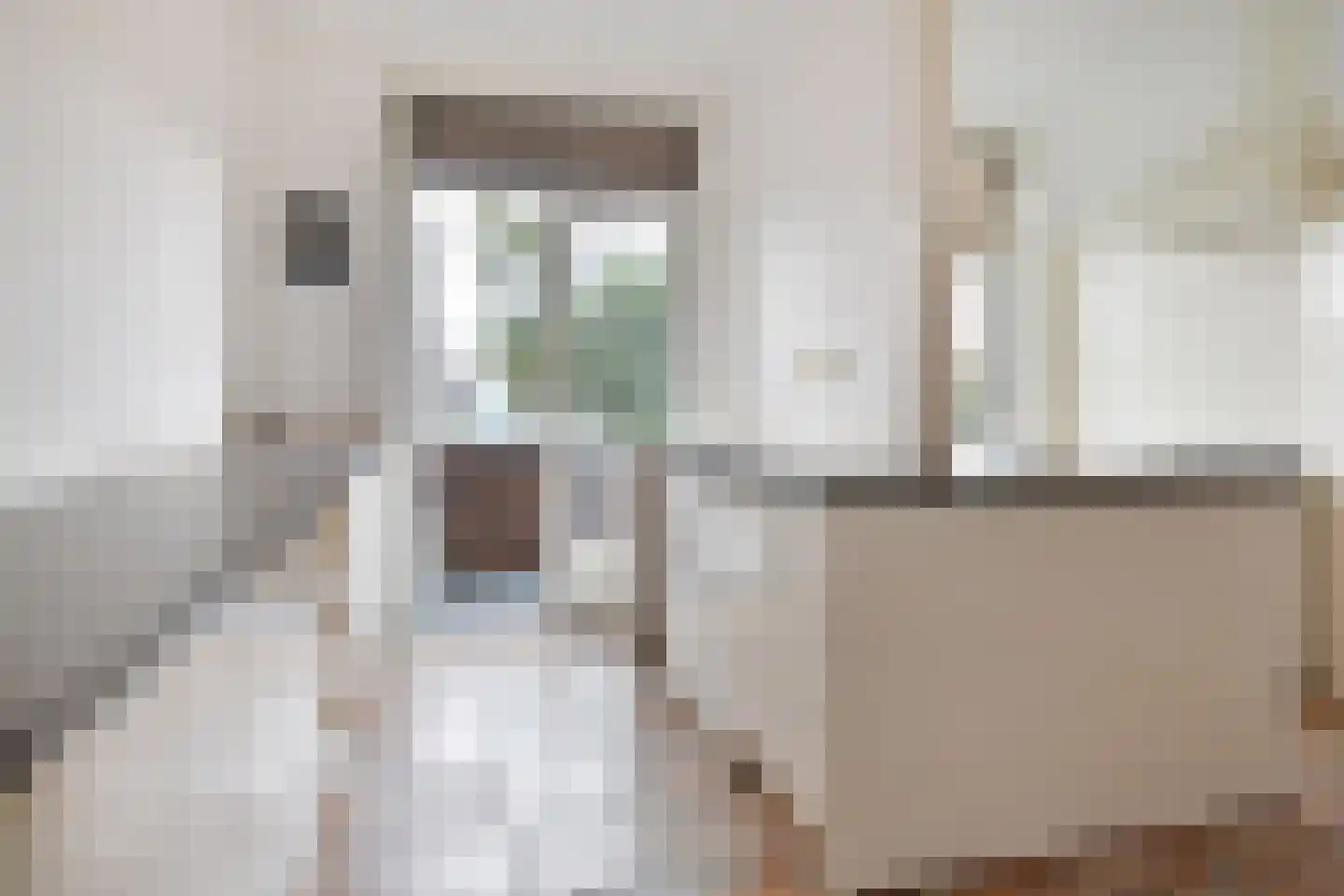 Soestdijksekade 251 Den Haag thumbnail 22