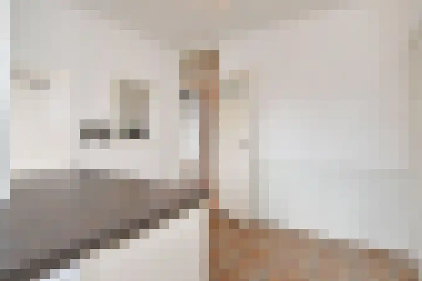 Soestdijksekade 251 Den Haag thumbnail 24