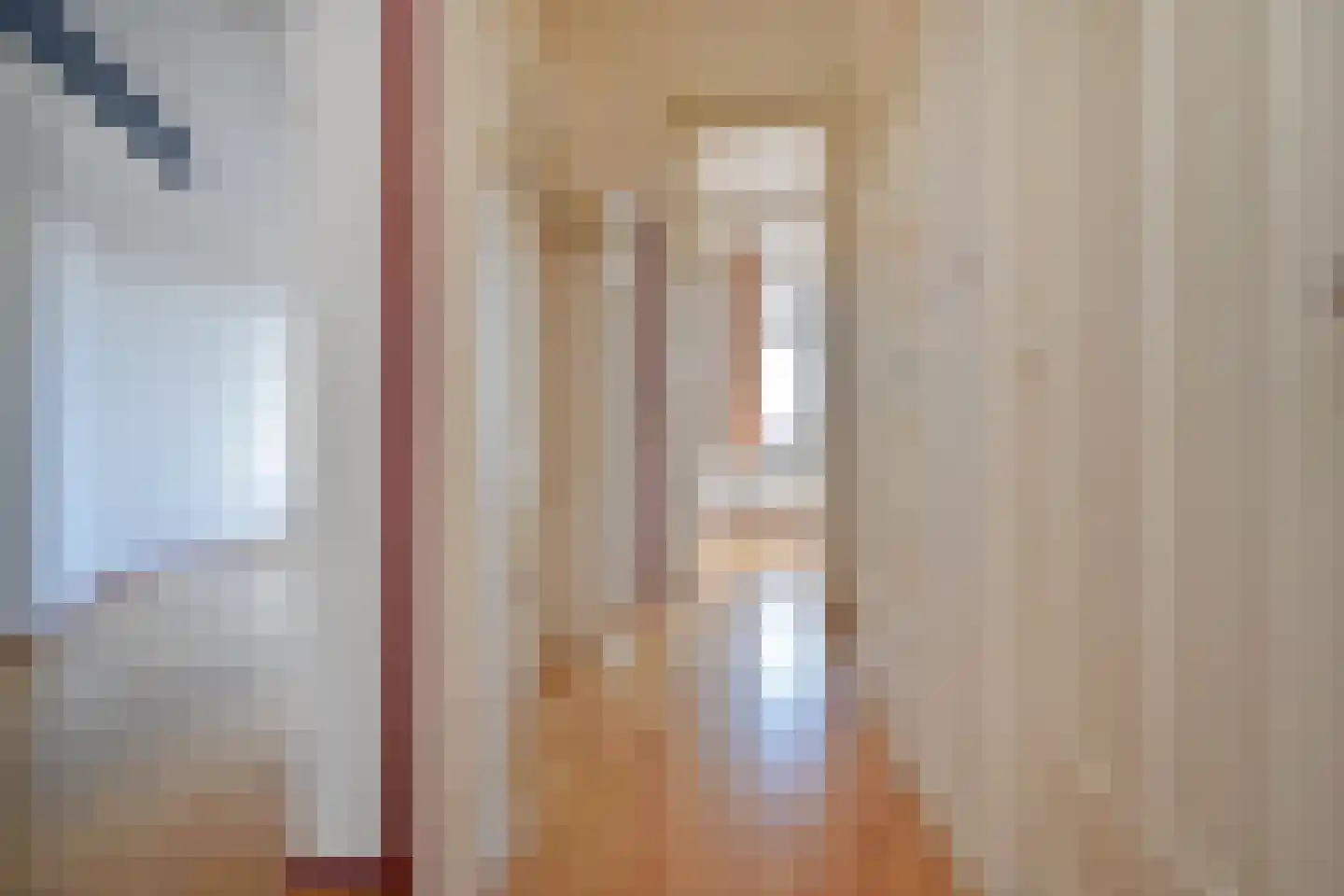 Soestdijksekade 251 Den Haag thumbnail 25