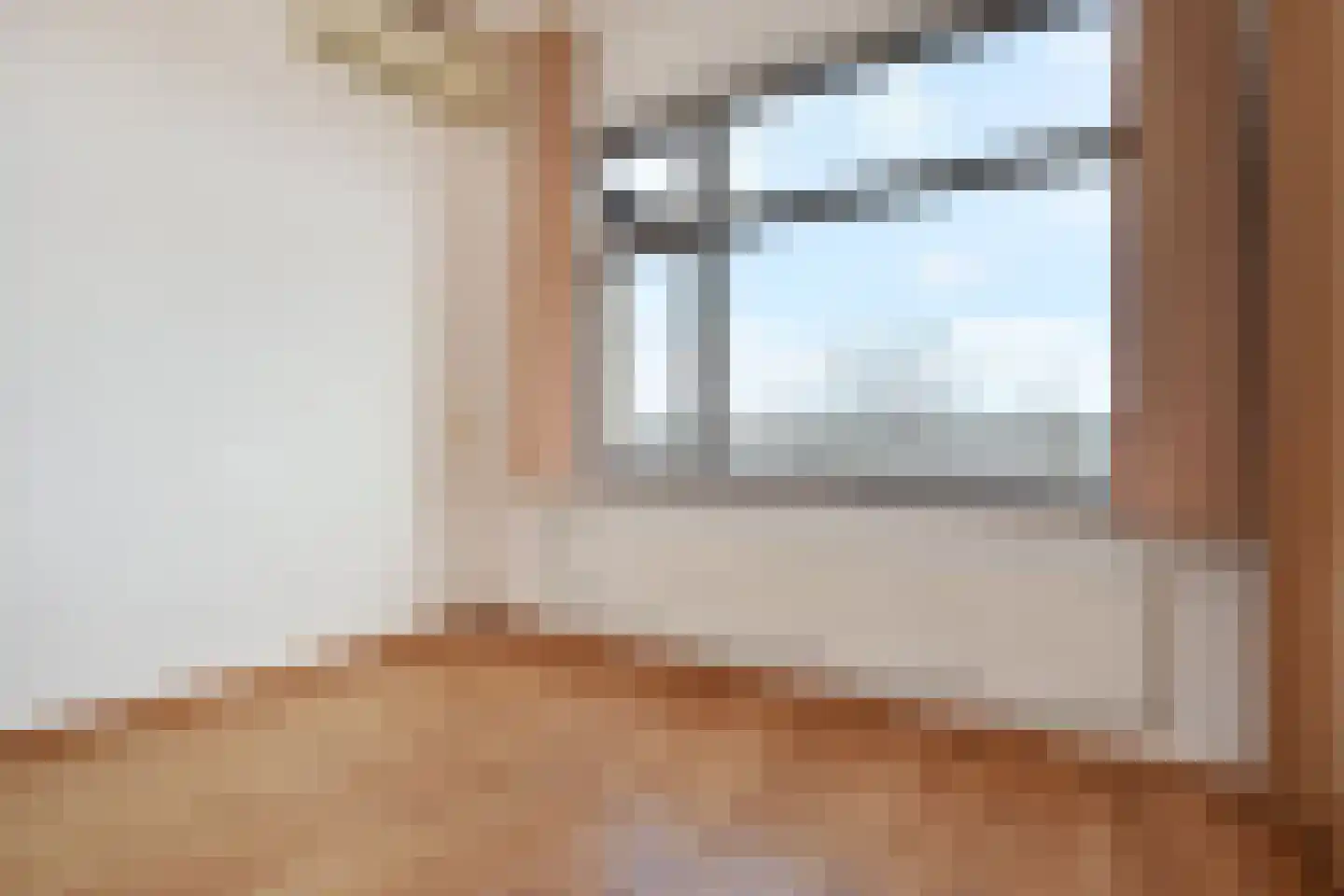 Soestdijksekade 251 Den Haag thumbnail 28