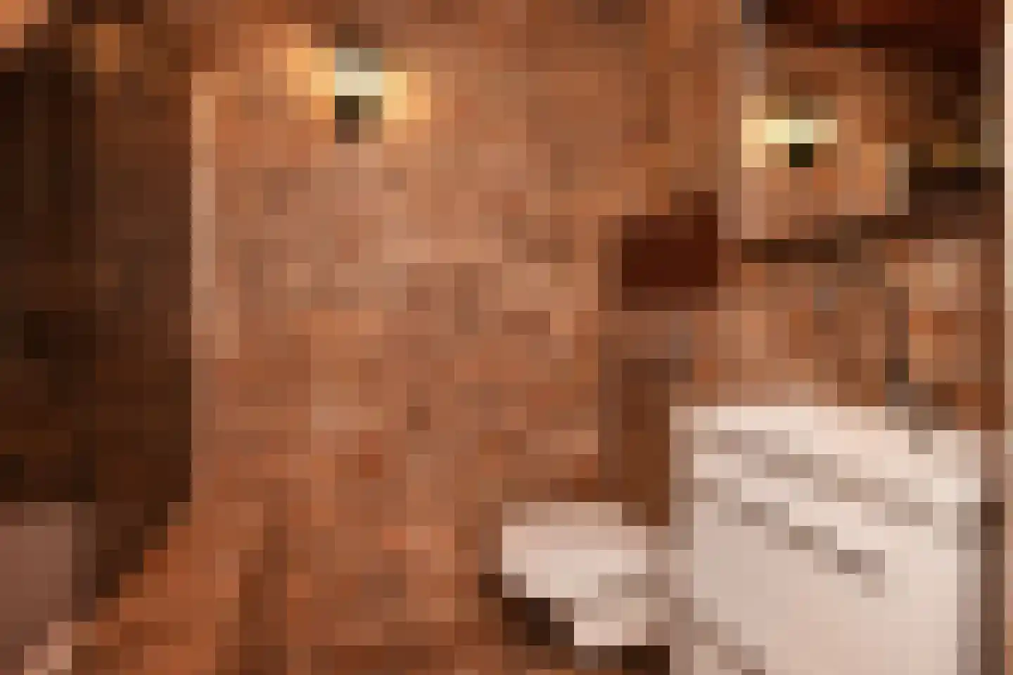 Soestdijksekade 251 Den Haag thumbnail 32