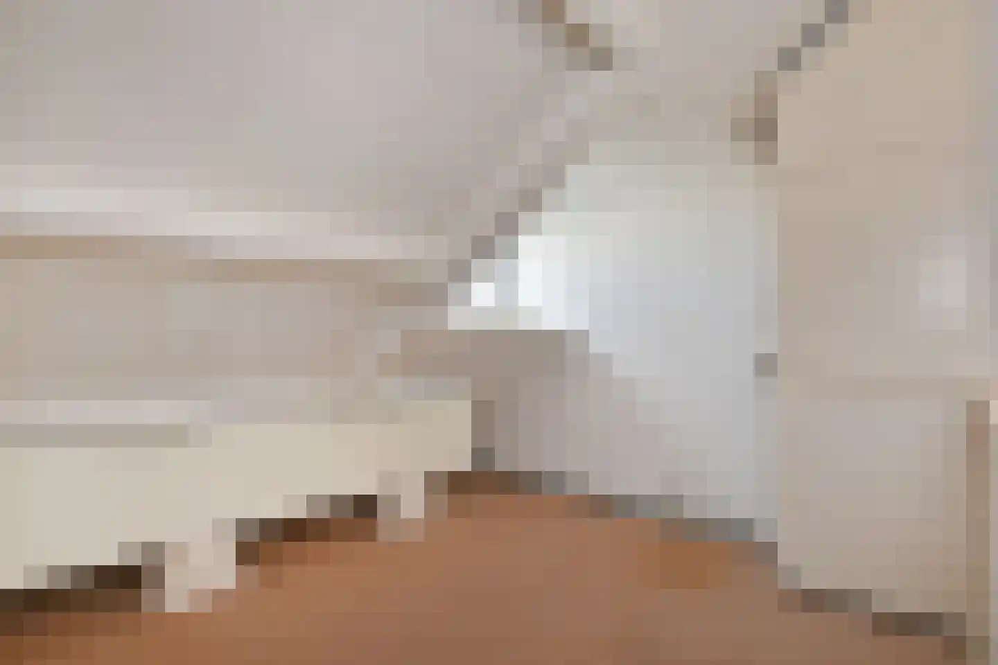 Soestdijksekade 251 Den Haag thumbnail 36
