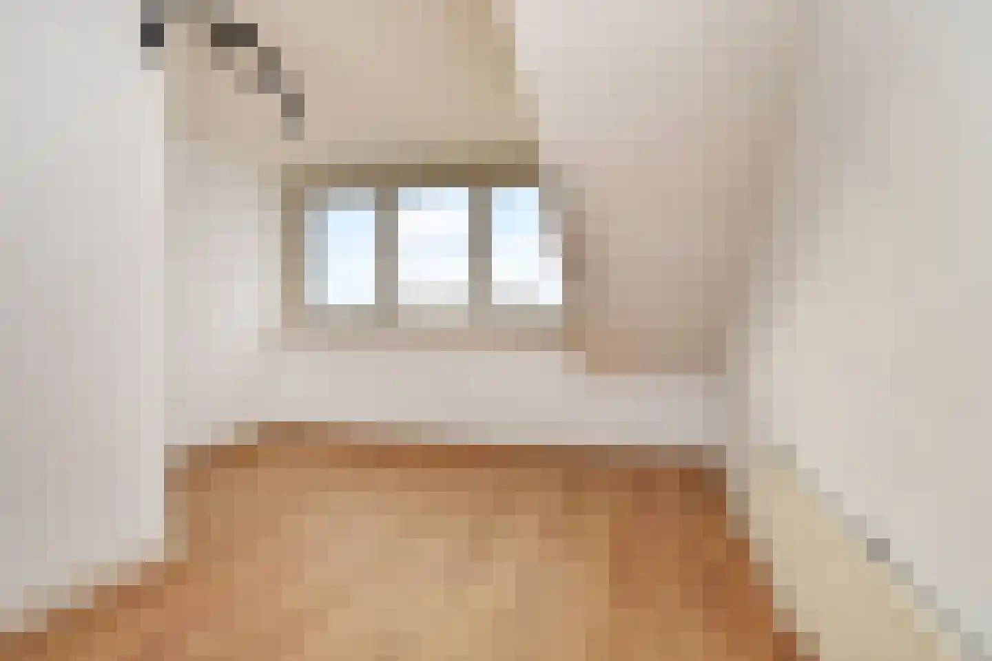 Soestdijksekade 251 Den Haag thumbnail 40
