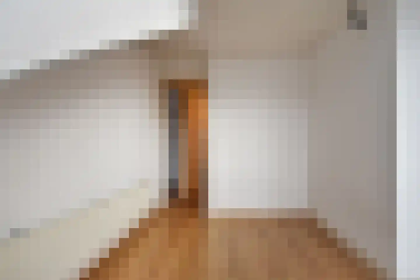 Soestdijksekade 251 Den Haag thumbnail 41