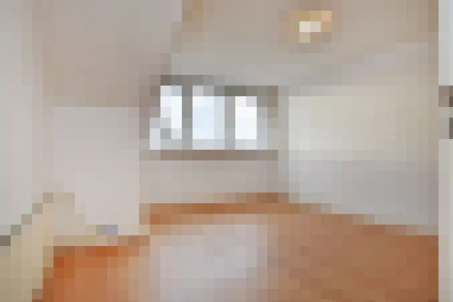 Soestdijksekade 251 Den Haag thumbnail 42