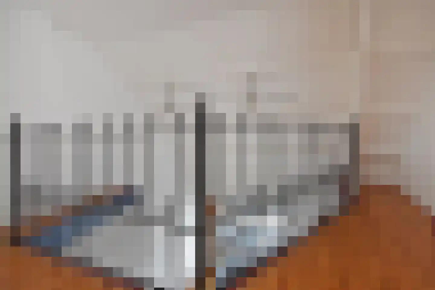 Soestdijksekade 251 Den Haag thumbnail 45
