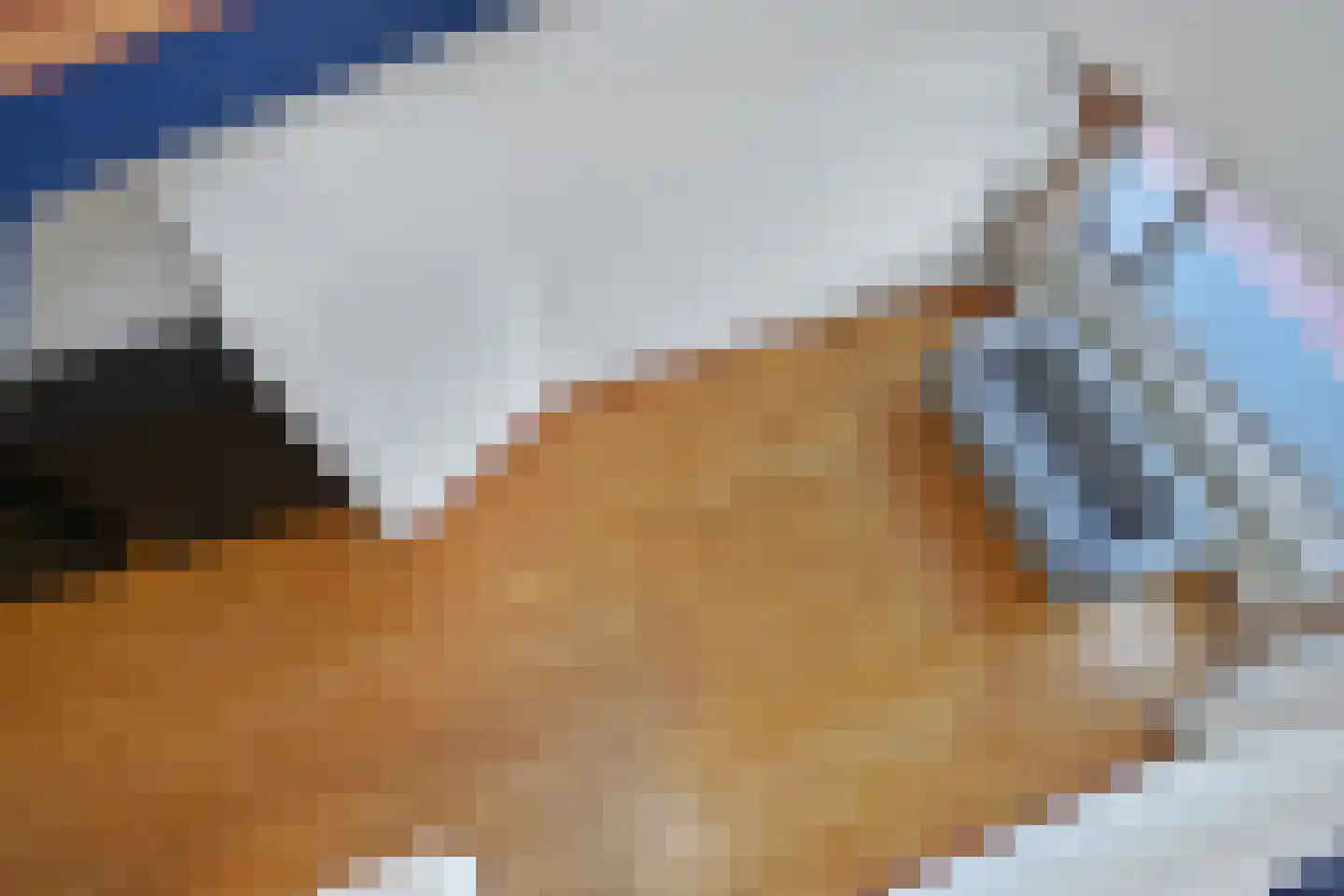 Soestdijksekade 251 Den Haag thumbnail 46