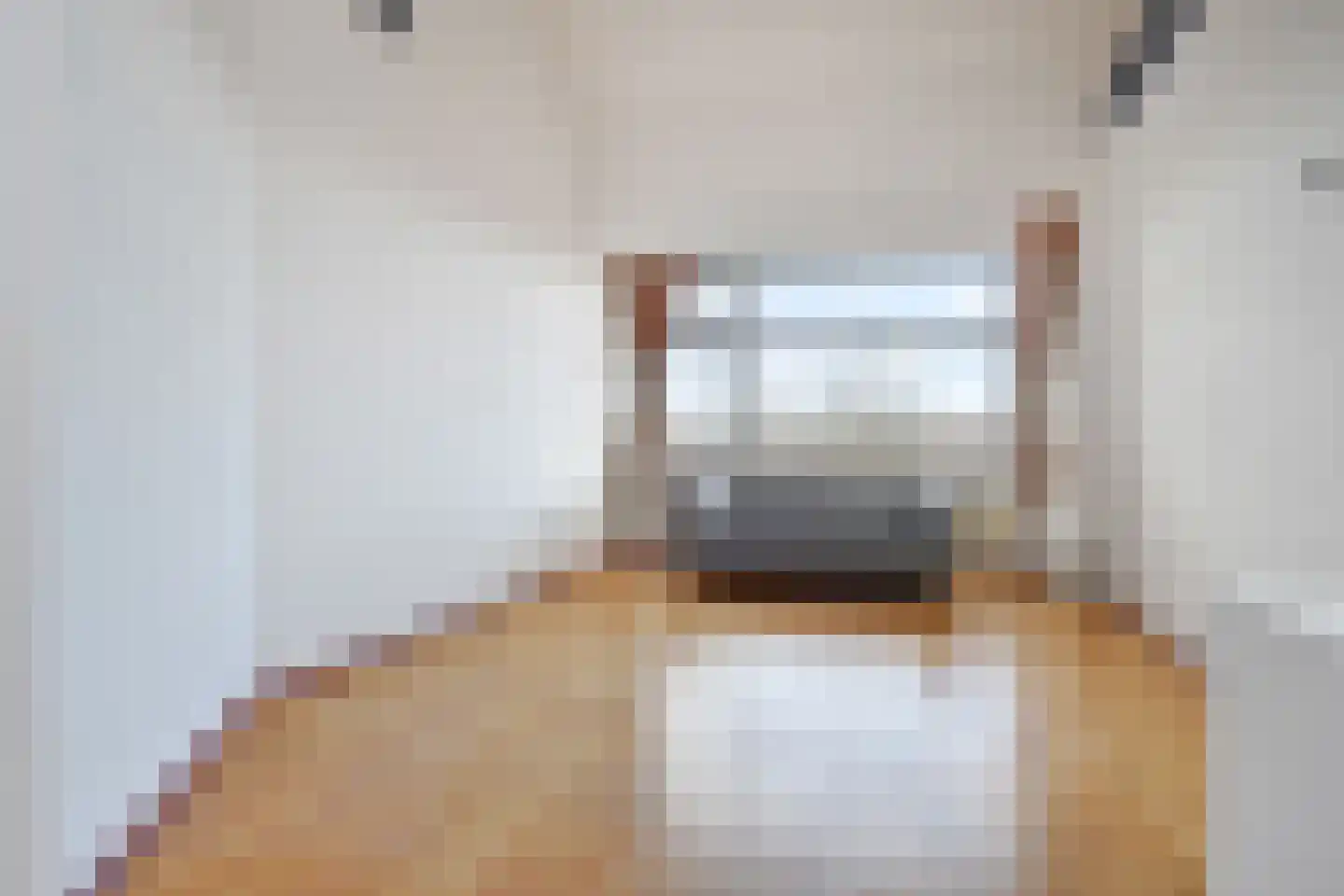 Soestdijksekade 251 Den Haag thumbnail 5