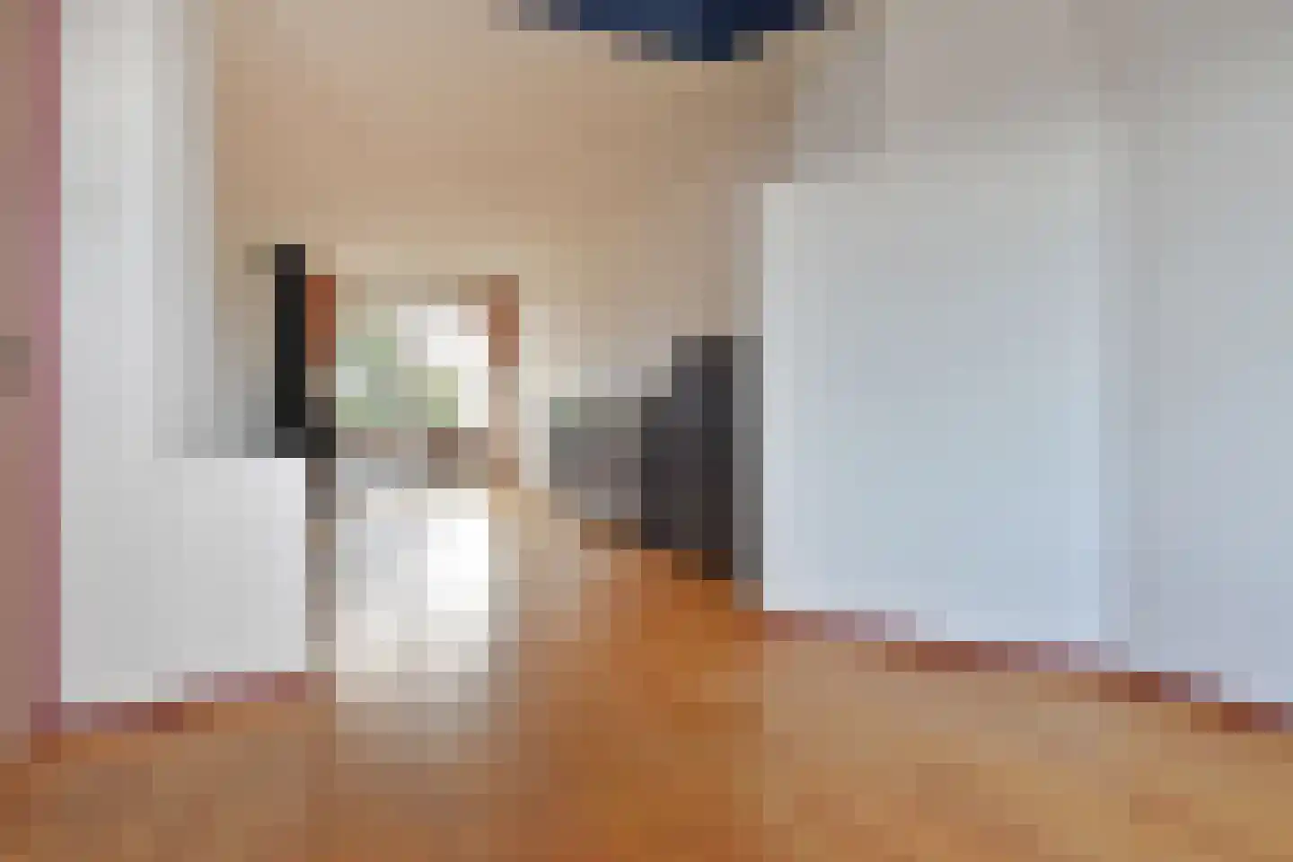 Soestdijksekade 251 Den Haag thumbnail 6